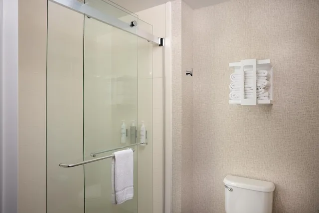 جناح بسرير كينج مع أريكة لذوي الإعاقة، Hampton Inn Suites Asheville I 26 7/7