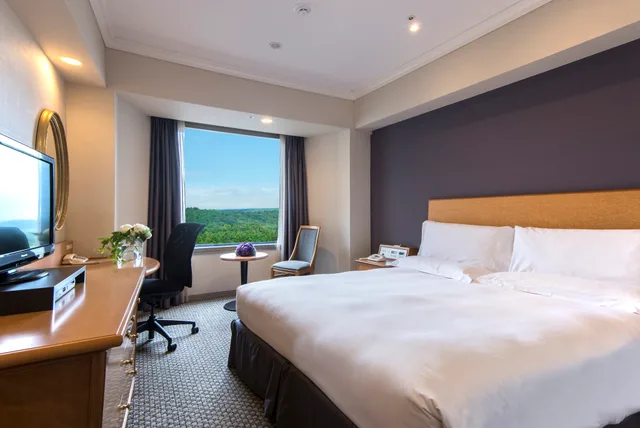 غرفة قياسية بسرير مزدوج، Hilton Tokyo Narita Airport 1/1