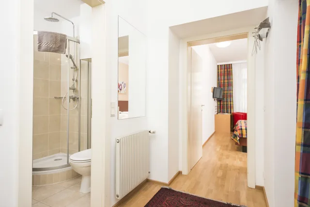استوديو بسريرين منفصلين، Appartements Ferchergasse 3/3