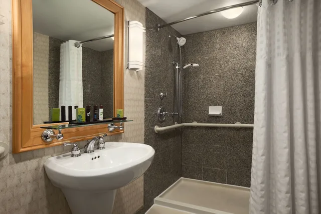 جناح، Embassy Suites by Hilton Chicago O'Hare Rosemont 3/3