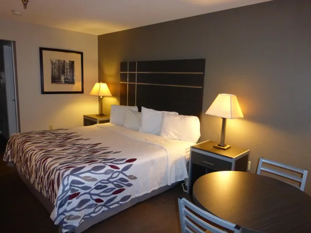 Deluxe, Double Bed, Red Roof Inn Columbia, TN 1/1