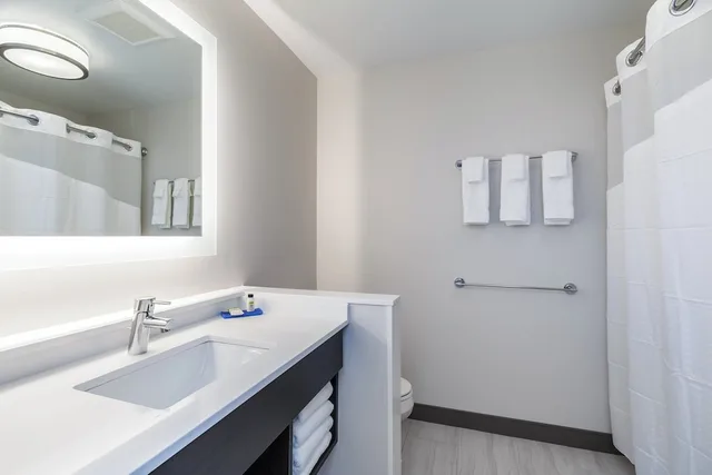 Suite, King Bed, Bathtub, Accessible, Holiday Inn Express and Suites South Bend South 3/3