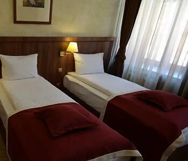 غرفة بزنس مفردة، Hotel Gott 15/16