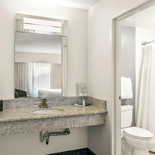 1 Bedroom, Suite, King Bed, Sonesta Select Greenbelt College Park 4/4