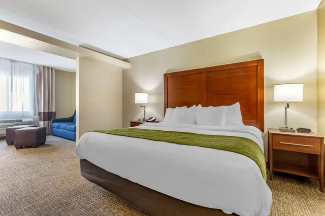 جناح ديلوكس بسرير كينج مع أريكة، Comfort Inn & Suites Phoenix North / Deer Valley 1/4