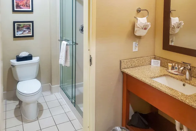 غرفة قياسية بسرير كينج، Comfort Inn and Suites Logan Near University 6/8