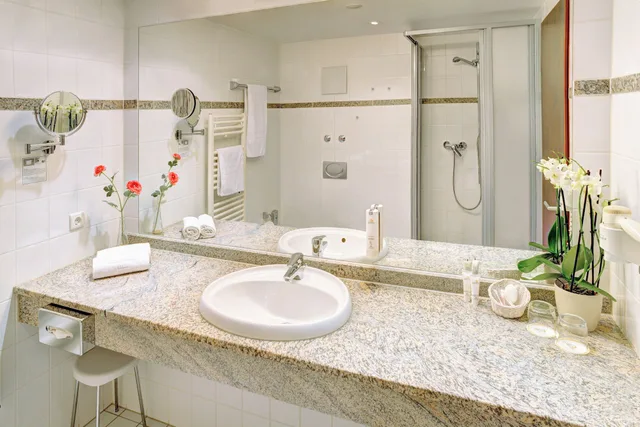 غرفة سوبيريور بسريرين منفصلين، Ringhotel Zweibruecker Hof 1/1