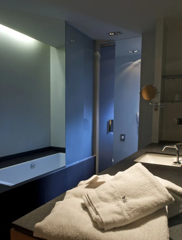 Deluxe, Double Bed, Blu Hotel Puerta De Almansa 6/7
