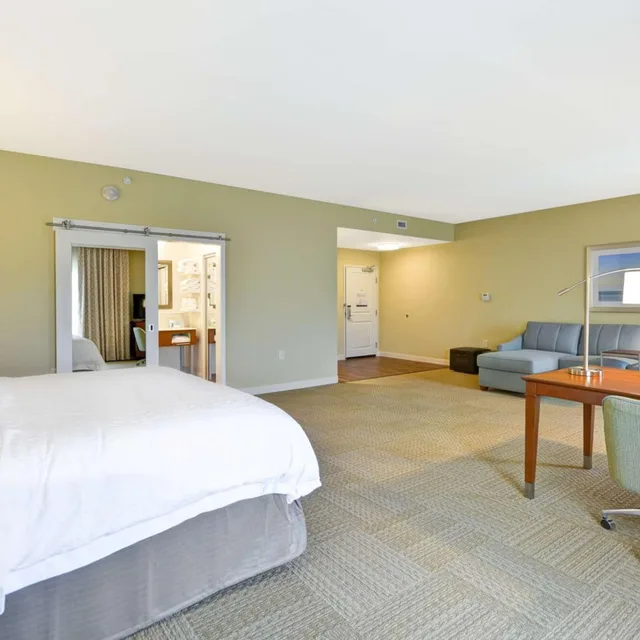 جناح استوديو بسرير كينج مع أريكة لذوي الإعاقة، Hampton Inn And Suites Charleston Airport 3/8