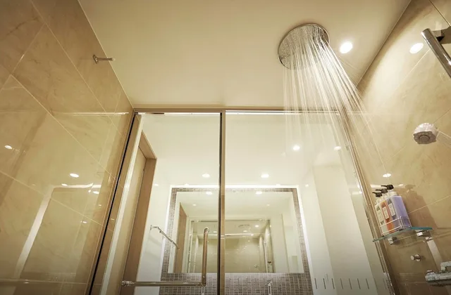 غرفة ثلاثية بثلاثة أسرّة، Daiwa Roynet Hotel Kobe Sannomiya Premier 6/6