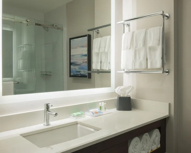 جناح بسرير كينج مع أريكة، HOLIDAY INN HOTEL AND SUITES VANCOUVER DOWNTOWN 5/5