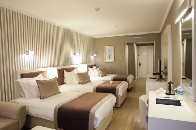 Room, Triple, 1 Double and 1 Single Bed, Murphy Bed, Byotell Hotel Istanbul 3/10