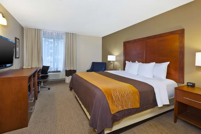 Room, King Bed, Comfort Inn & Suites Taylor - Detroit 2/10