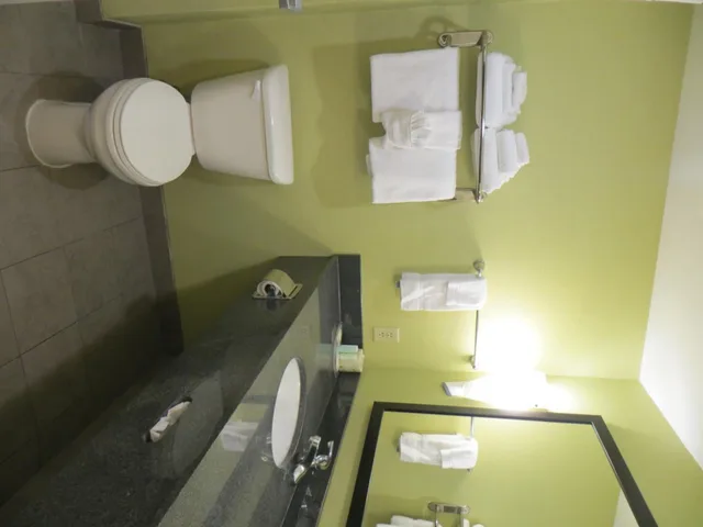 Room, King Bed, with View, Comfort Suites Knoxville East 3/3
