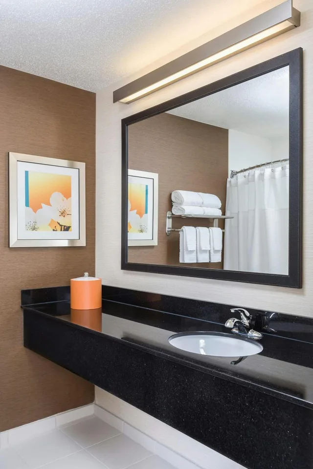 Deluxe, King Bed, Sofa, Fairfield Inn & Suites Holland 4/4