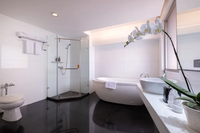 جناح بريميير بسرير كينج، Merlynn Park Hotel 4/4