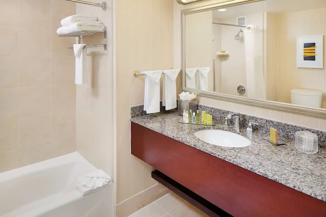 غرفة قياسية بسرير كينج، DoubleTree by Hilton Los Angeles - Commerce 2/2