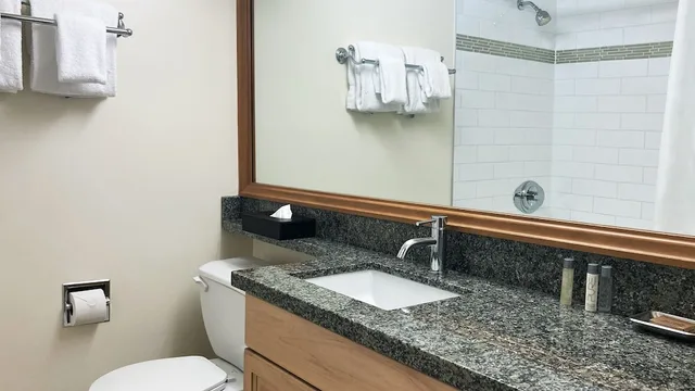 Studio, Queen Bed, Mountain Side، Mountain Side Hotel Whistler By Executive 4/4
