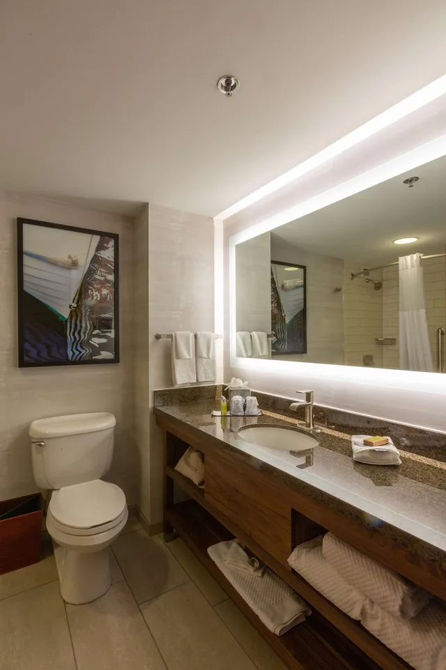 Room, King Bed, with View, DoubleTree by Hilton Hotel Bay City - Riverfront 4/8
