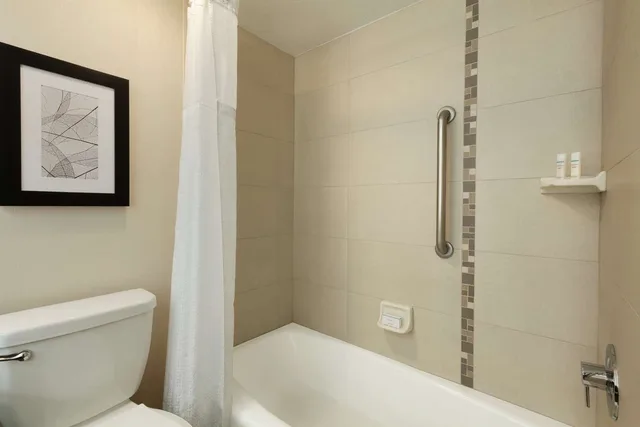 جناح بسريرين كوين بغرفة نوم واحدة لذوي الإعاقة، Embassy Suites By Hilton Arcadia Pasadena Area 3/3