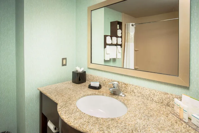 غرفة بسرير مزدوج بإطلالة، Hampton Inn and Suites Suisun City Waterfront 2/2