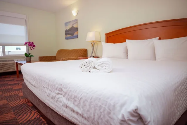 غرفة أساسية مفردة بسرير كينج، Service Plus Inns and Suites Calgary 1/3
