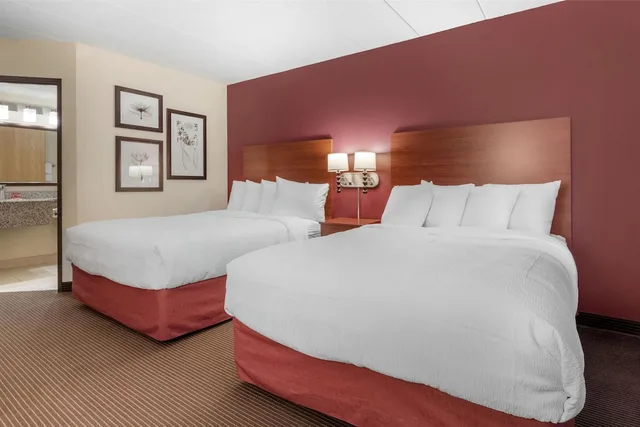 غرفة قياسية بسريرين كوين يُسمح فيها بالحيوانات الأليفة، SureStay Plus Hotel by Best Western Litchfield 3/9