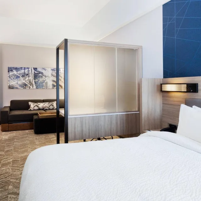 جناح بسرير كينج مع سرير سحّاب إضافي مع أريكة لذوي الإعاقة، SpringHill Suites by Marriott Montgomery Prattville Millbrook 1/5