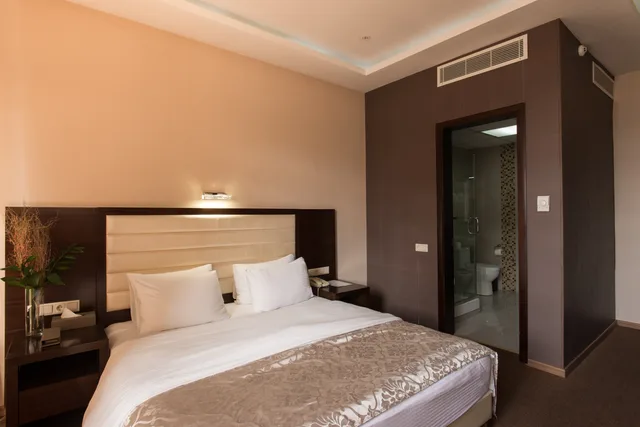 غرفة قياسية مزدوجة، Hotel Orion Tbilisi 1/4
