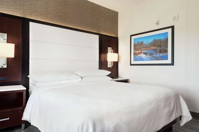 غرفة بسرير كينج بغرفة نوم واحدة لذوي الإعاقة، Embassy Suites By Hilton Noblesville Indianapolis Conference Center 1/4