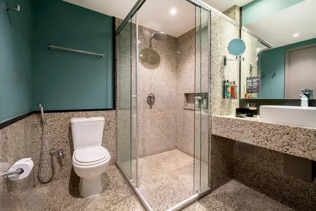 Executive, Double Bed, Street View، Pullman Sao Paulo Guarulhos Airport 4/4