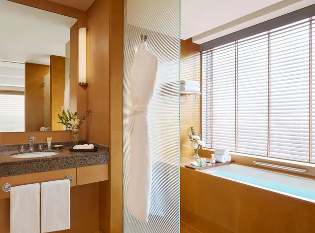جناح غراند تنفيذي، Grand Hyatt Mumbai Hotel and Residences 3/3