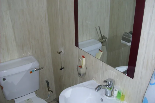 غرفة قياسية بسرير مزدوج بإطلالة على المدينة، GrandVenice Transit Apartments 3/3