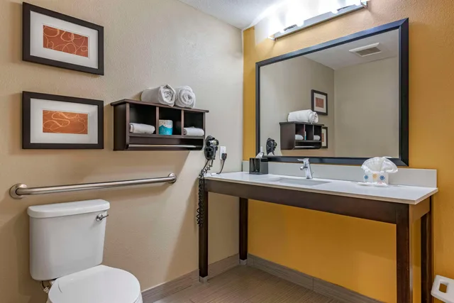 جناح لذوي الإعاقة، Comfort Suites Fort Lauderdale Airport South & Cruise Port 1/1