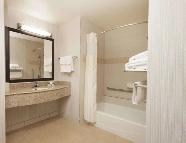 جناح بسرير كينج بغرفة نوم واحدة مع أريكة لذوي الإعاقة، Hilton Garden Inn Fort Worth North 5/8