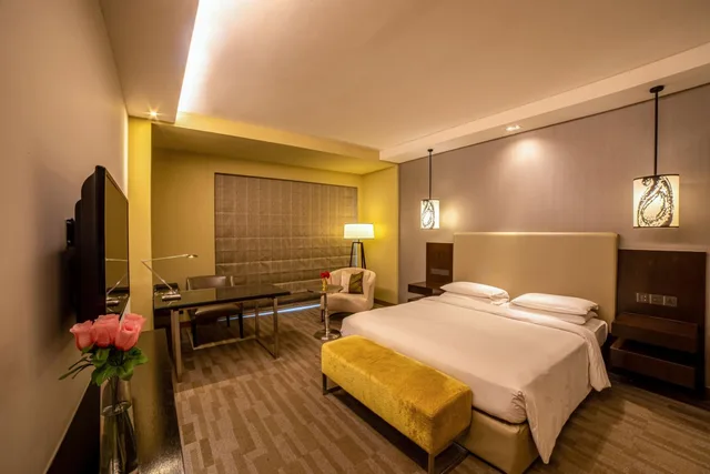 Club, Spa, King Bed, Hyatt Regency Ahmedabad 3/7