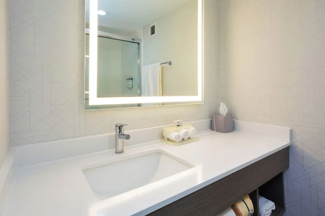 Standard, King Bed, Holiday Inn Express Hotel And Suites Dover 2/2