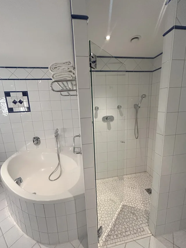 جناح جونيور، Vichy Celestins Spa Hotel 3/3