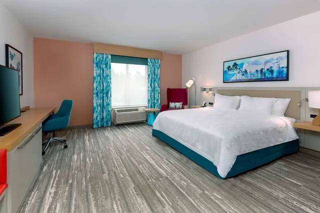 غرفة بسرير كينج بإطلالة بحوض استحمام لذوي الإعاقة، Hilton Garden Inn Panama City Airport, FL 1/4