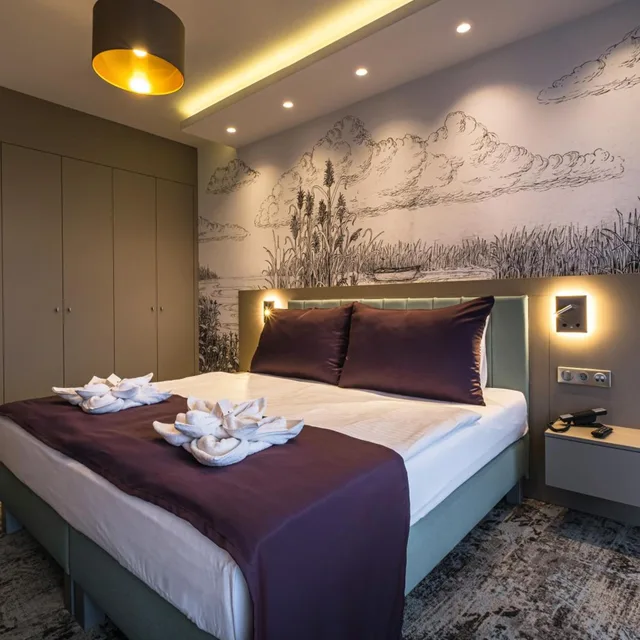 غرفة ديلوكس بسرير مزدوج أو سريرين منفصلين بشرفة، Silver Resort Balatonfüred 1/6