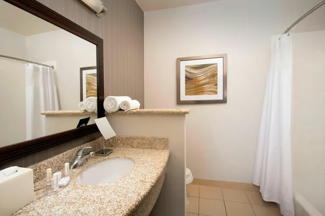 غرفة بسرير كينج، Courtyard by Marriott Tyler 3/7