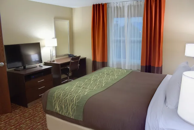 جناح بسرير كينج مع أريكة، Comfort Inn & Suites Artesia, NM 5/7
