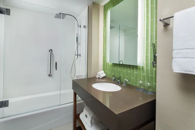 غرفة بريميوم بسرير كينج بإطلالة على المدينة بشرفة، Westin Gaslamp Quarter 8/8