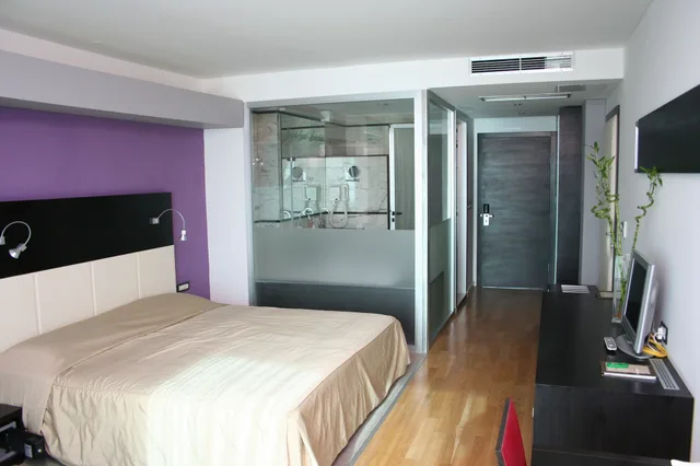 غرفة ديلوكس بسرير مزدوج أو سريرين منفصلين بإطلالة على البحر بشرفة، Hotel San Antonio 5/9
