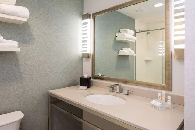 Premium, King Bed, HILTON GARDEN INN PITTSBURGH AIRPORT 6/6