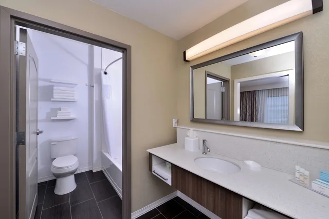 استوديو بسرير كينج مع أريكة لذوي الإعاقة، Hampton Inn Broussard-Lafayette Area LA 3/3