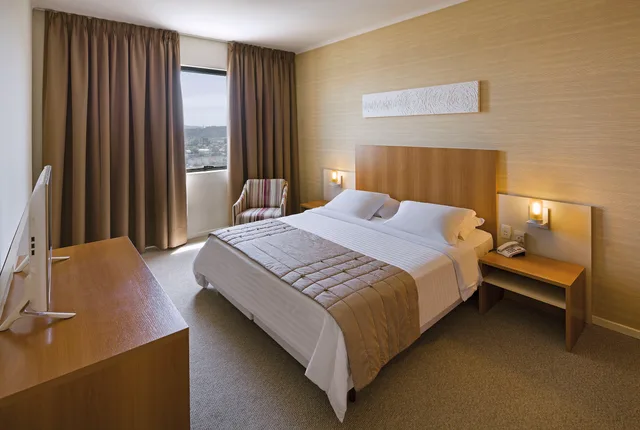 غرفة سوبيريور بسرير مزدوج، Swan Novo Hamburgo 1/1