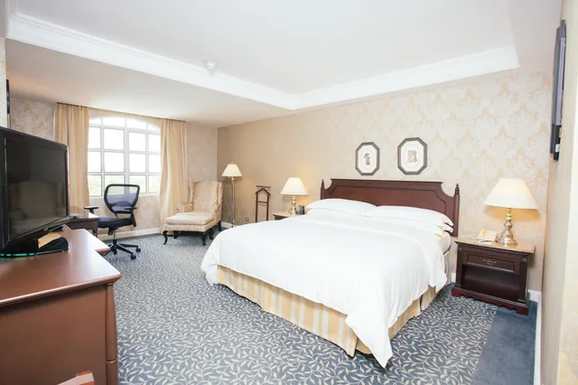 جناح تنفيذي بغرفة نوم واحدة، Hilton Princess Managua 3/10