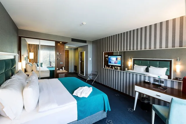 Deluxe, Premier Inn Sakarya 1/4