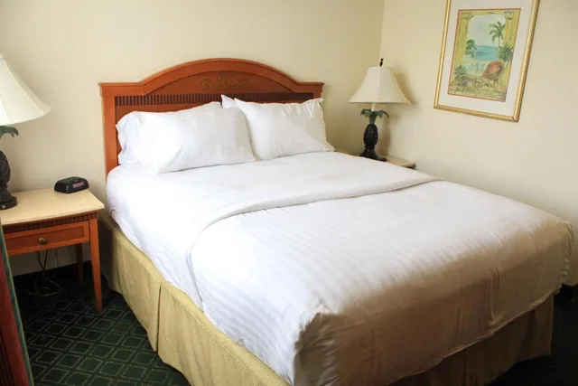 Standard, Queen Bed, Accessible, Holiday Inn Port St. Lucie 1/1